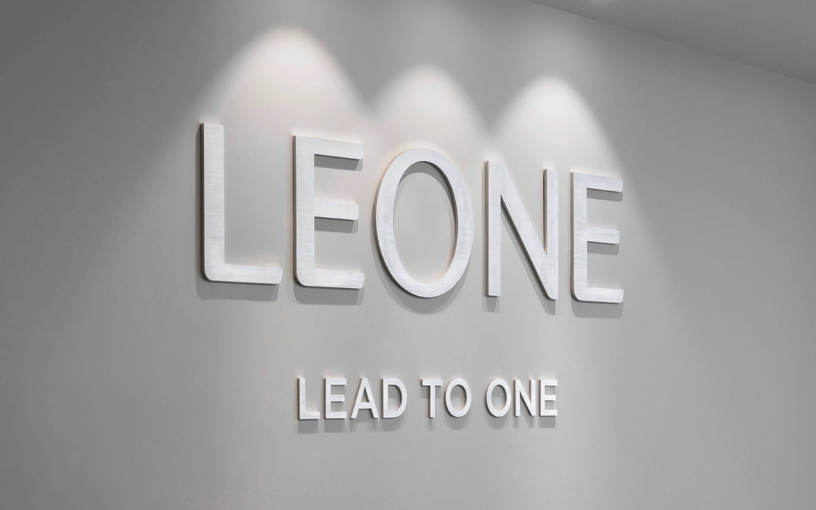 LEONE利昂稅務規(guī)劃咨詢集團B2B企業(yè)logo&vi形象設計塑造，三葉旋轉圖案