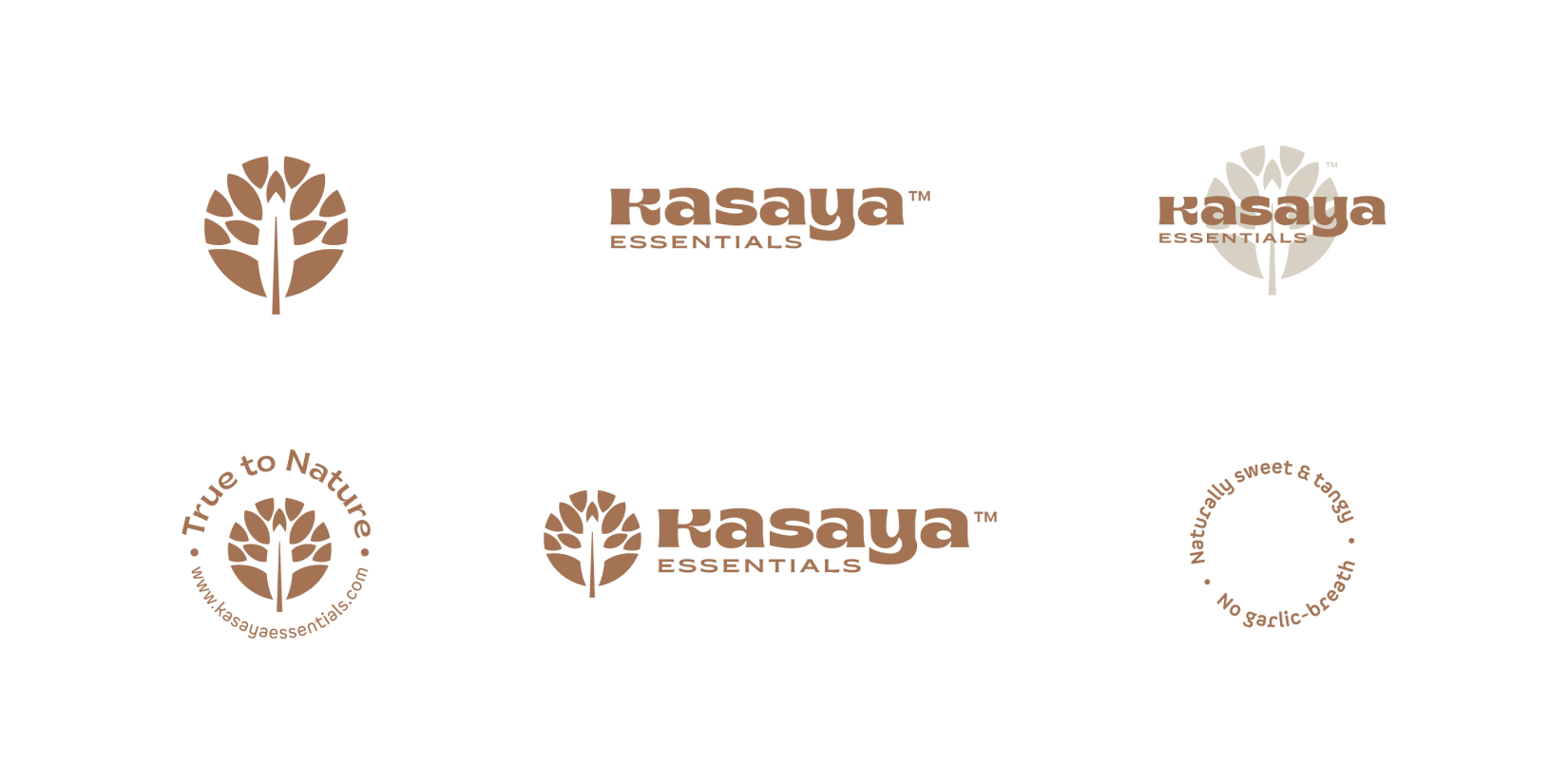 Kasaya黑蒜健康養生保健品品牌創建-命名-logo-包裝設計