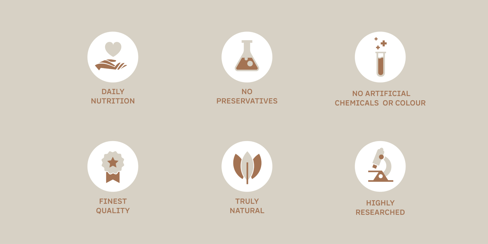 Kasaya黑蒜健康養生保健品品牌創建-命名-logo-包裝設計