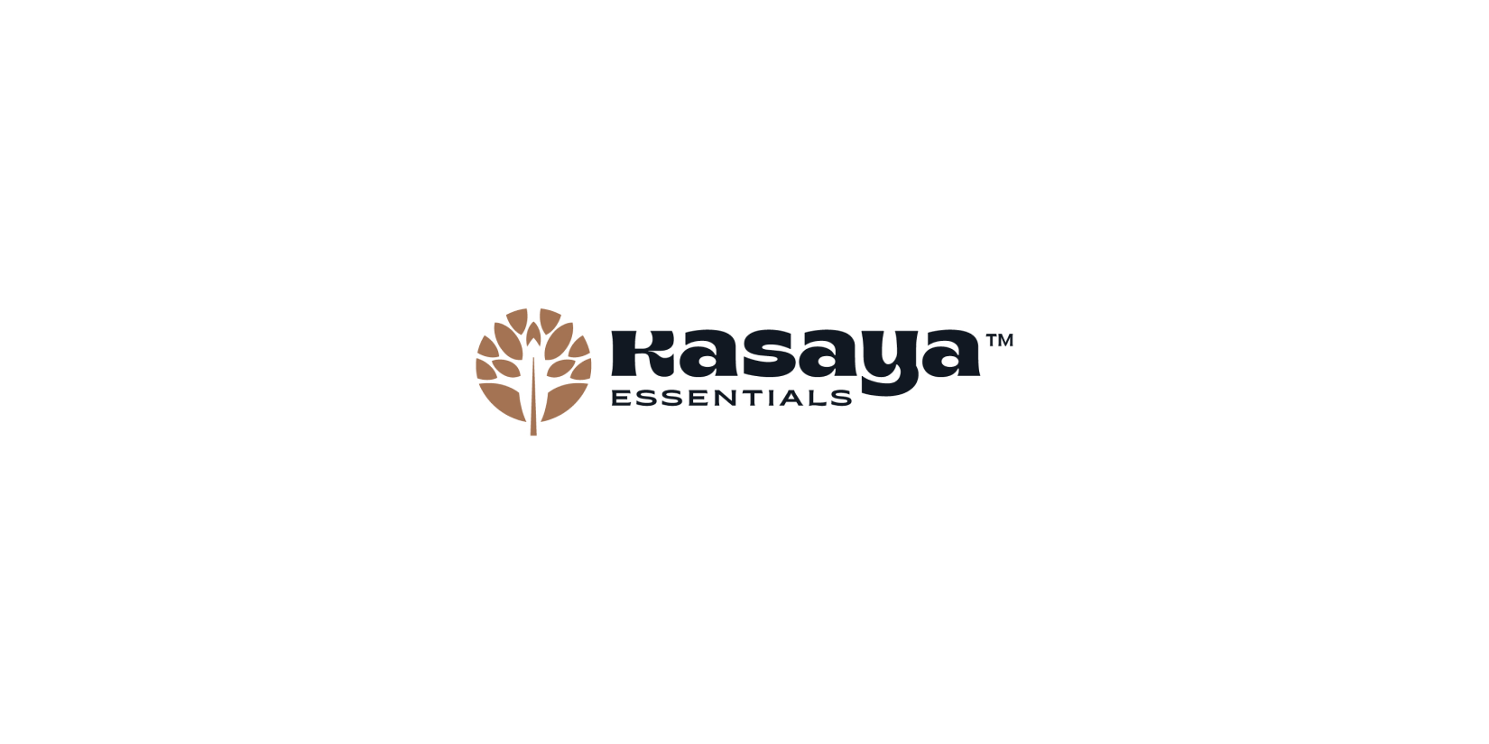 Kasaya發酵黑蒜健康養生滋補品品牌創建-命名-logo-包裝設計
