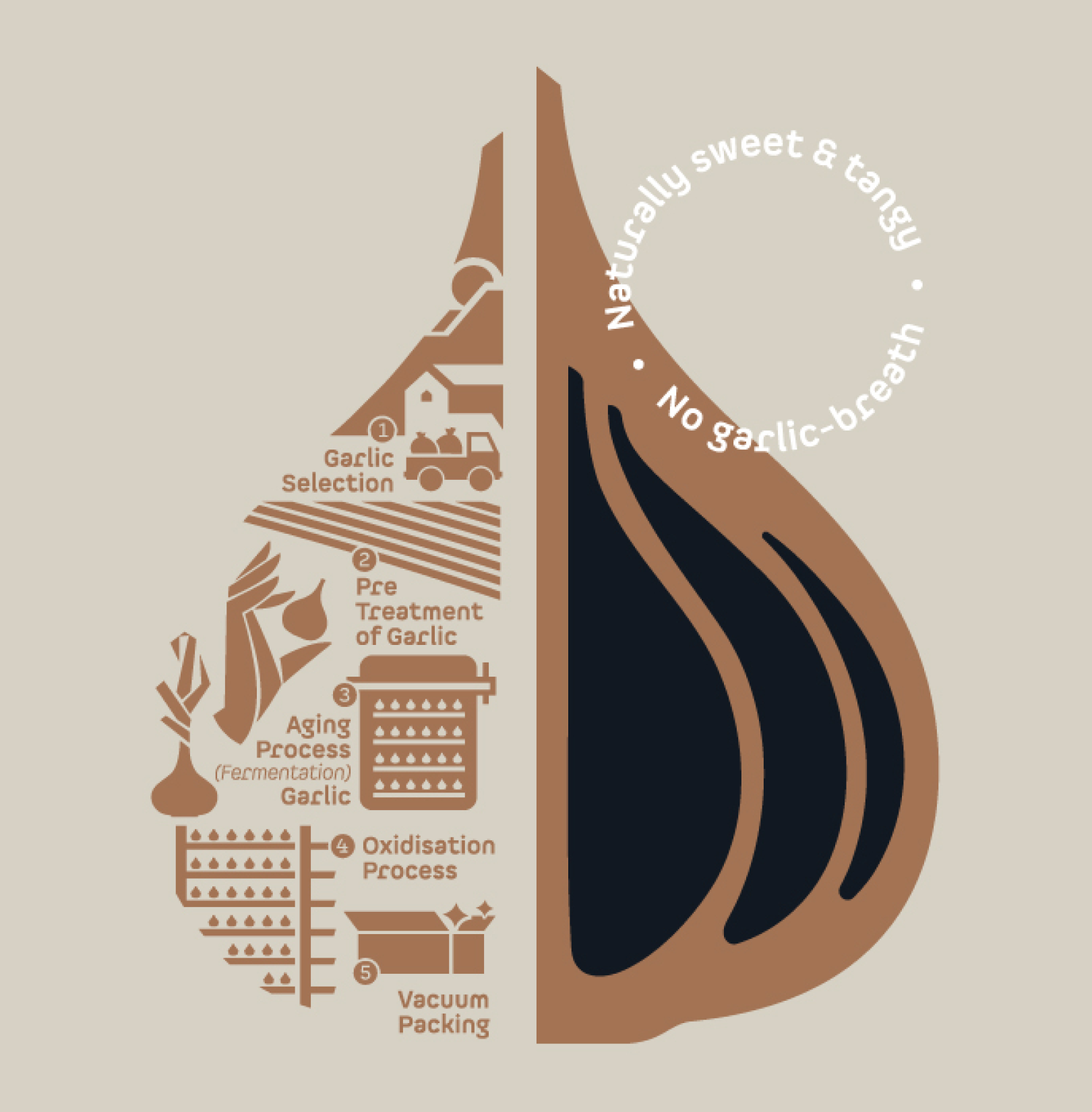 Kasaya黑蒜健康養生保健品品牌創建-命名-logo-包裝設計