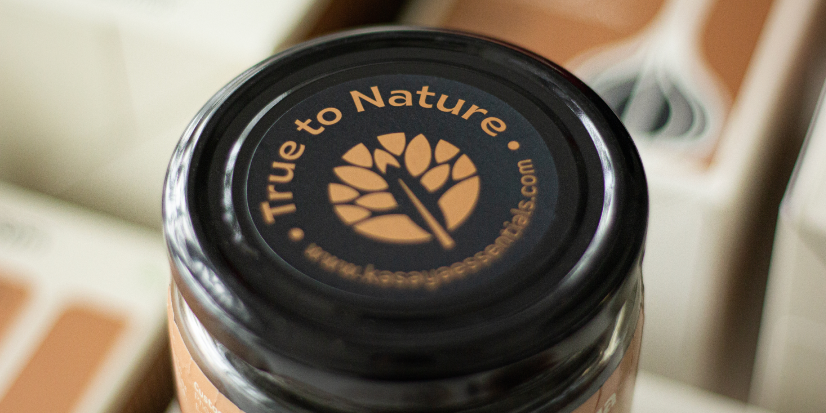 Kasaya發酵黑蒜健康養生滋補品品牌創建-命名-logo-包裝設計