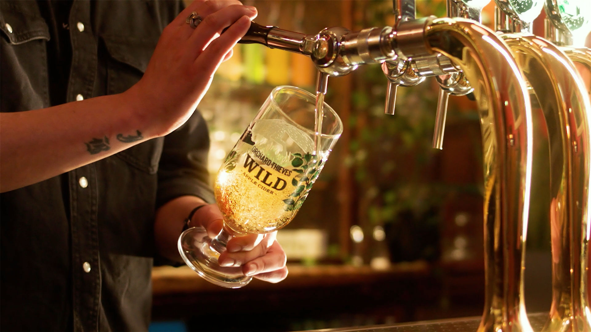 “果園小偷”野生蘋果酒品牌創建策劃狐貍插畫包裝設計電視廣告及宣傳推廣