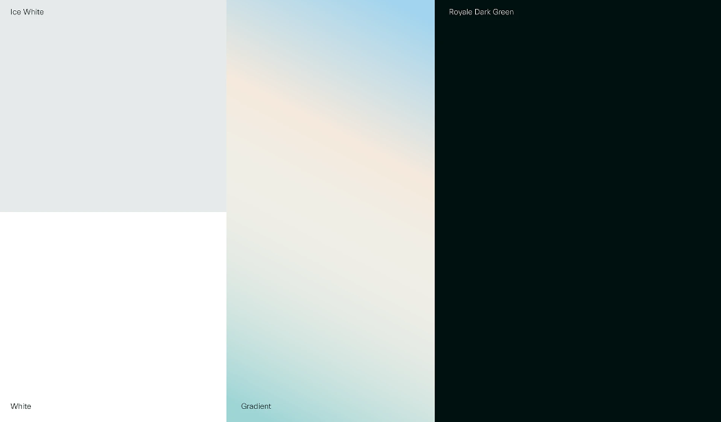 Circledata 數據分析公司logo設計品牌視覺形象vi設計。抽象橢圓形元素