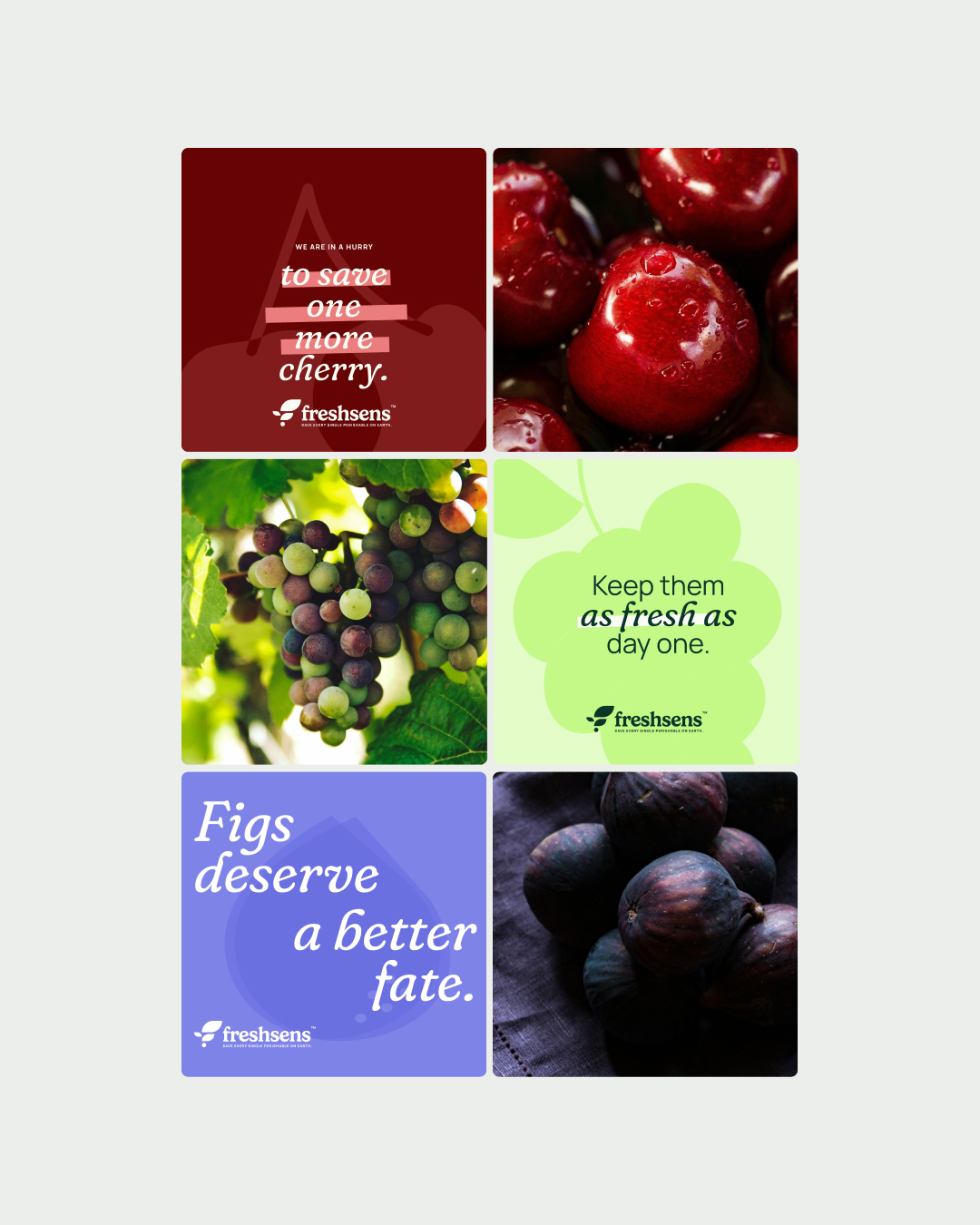 FreshSens農業科技公司logo設計葉子元素