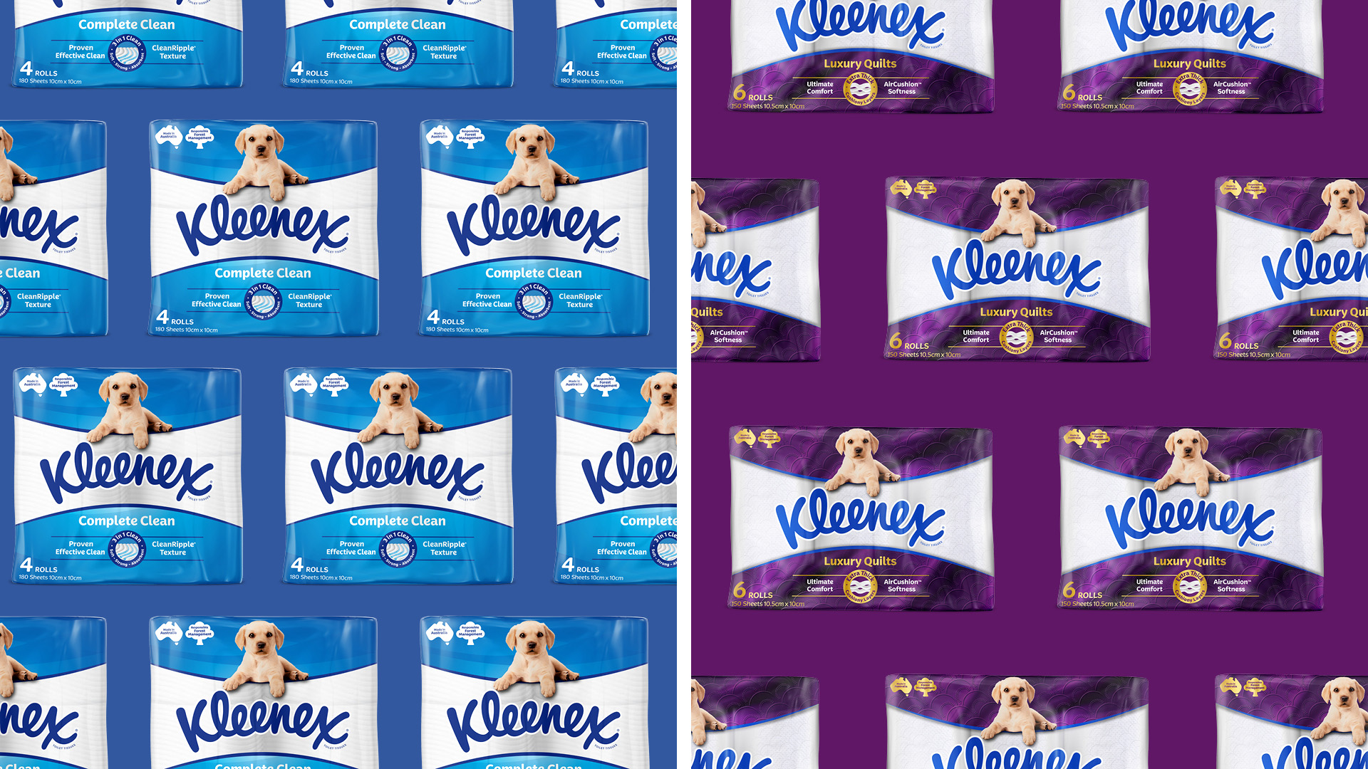 Kleenex 衛生紙包裝設計拉布拉多小狗元素