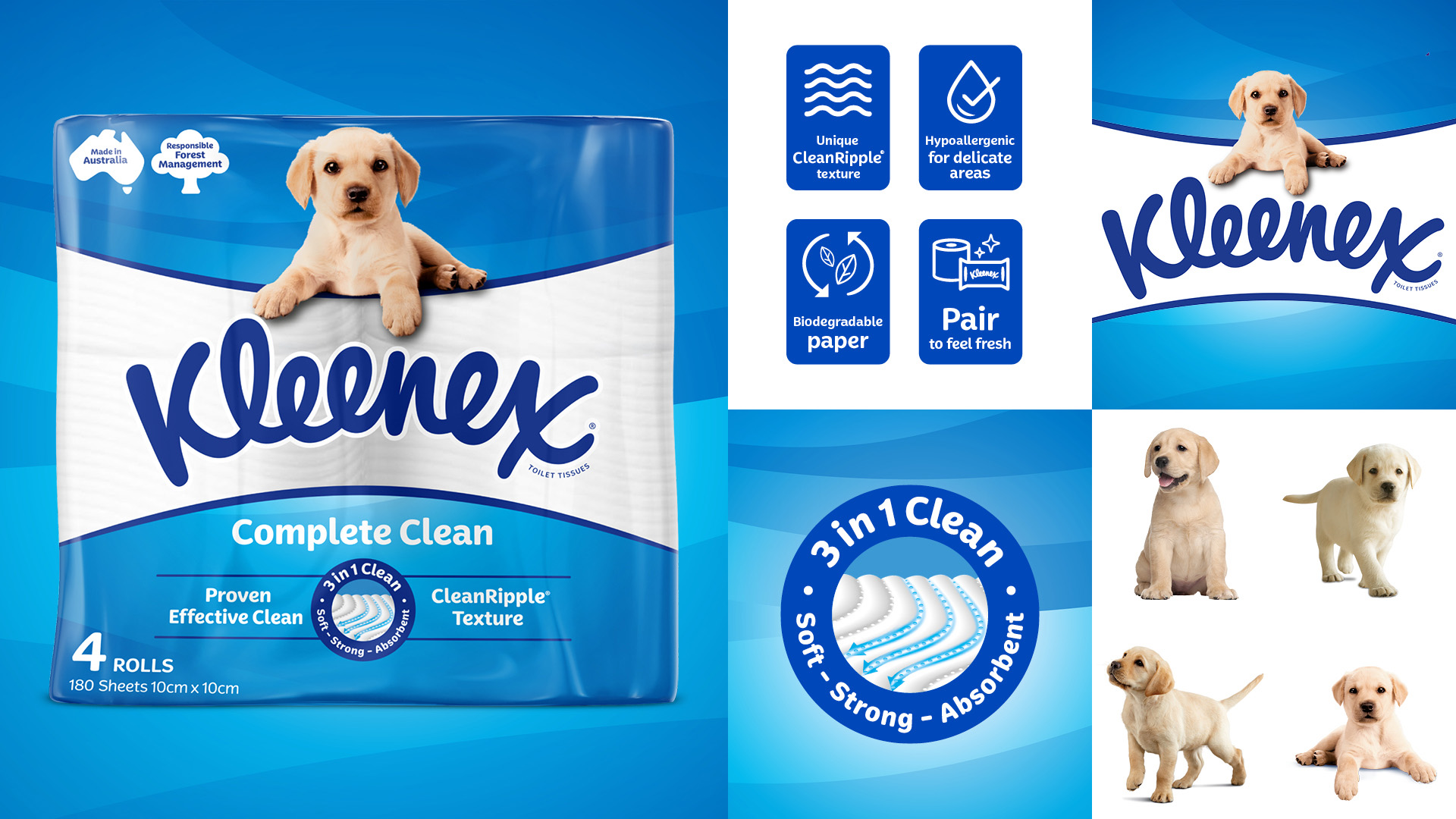 Kleenex 衛生紙包裝設計拉布拉多小狗元素