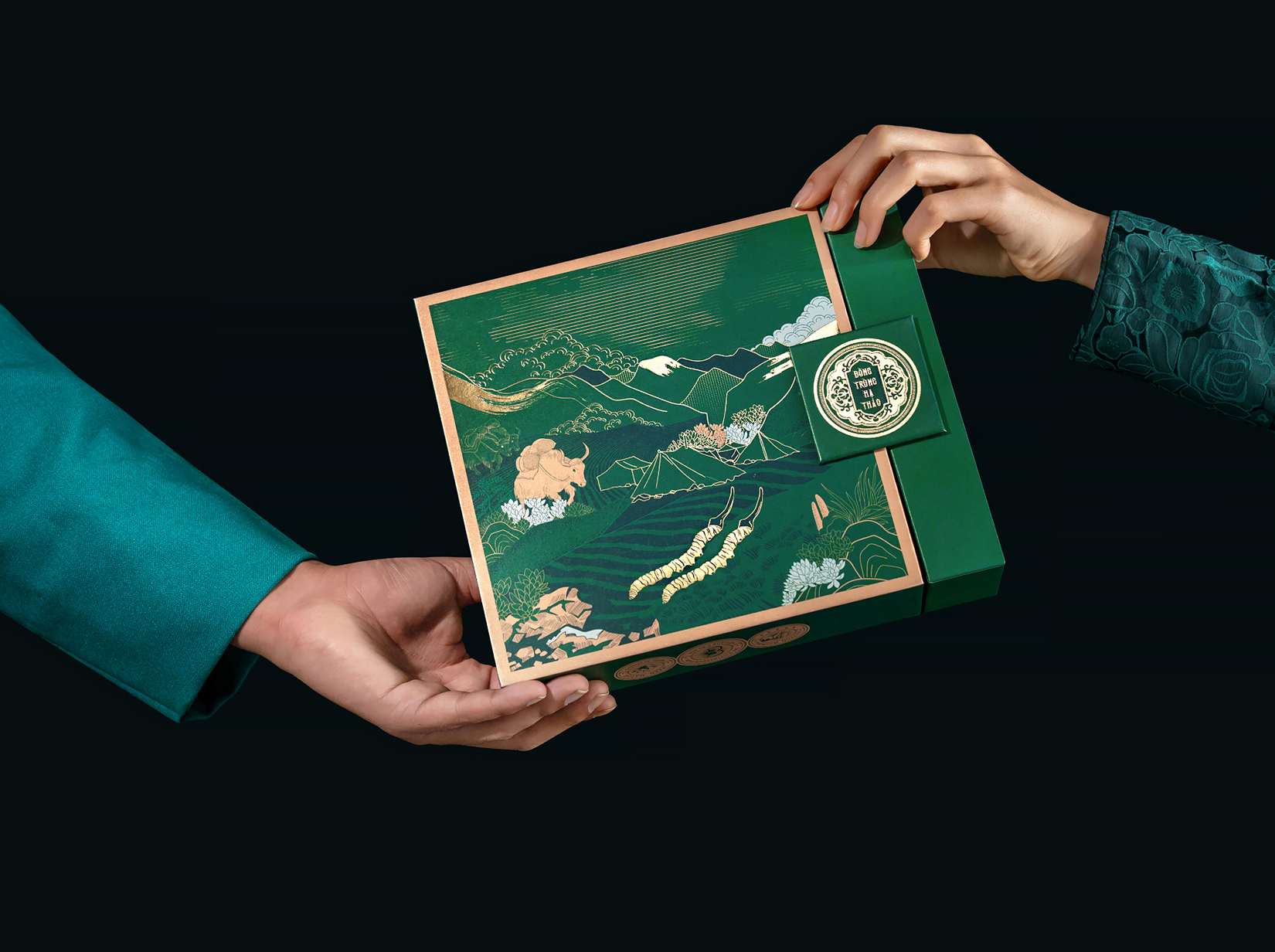 喜馬拉雅山冬蟲夏草套裝禮品禮盒包裝設計“自然山脈風景”插畫 喜馬拉雅山冬蟲夏草套裝禮品禮盒包裝設計“自然山脈風景”插畫