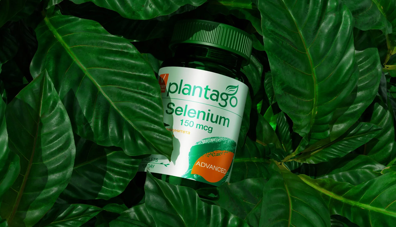 Plantago 車前子膳食營養補充劑中藥保健品包裝設計抽象藝術葉子元素