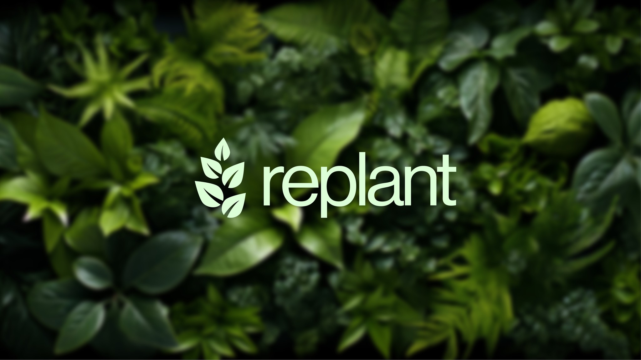 Replant 有機再生農業技術品牌形象logo設計vi設計“自然葉子”