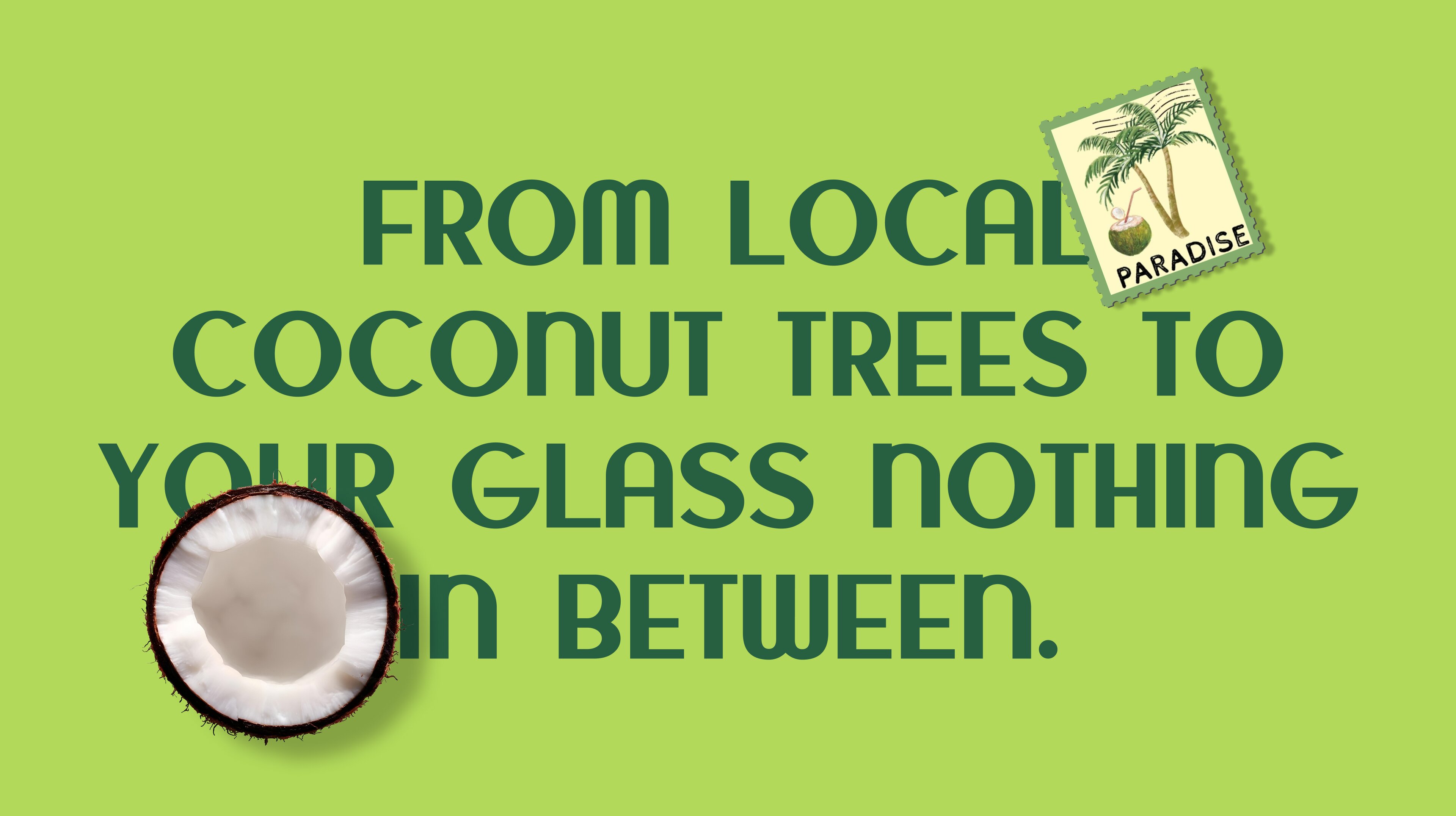 B Natural 椰子水包裝設計自然水彩綠色風格-上海包裝設計公司