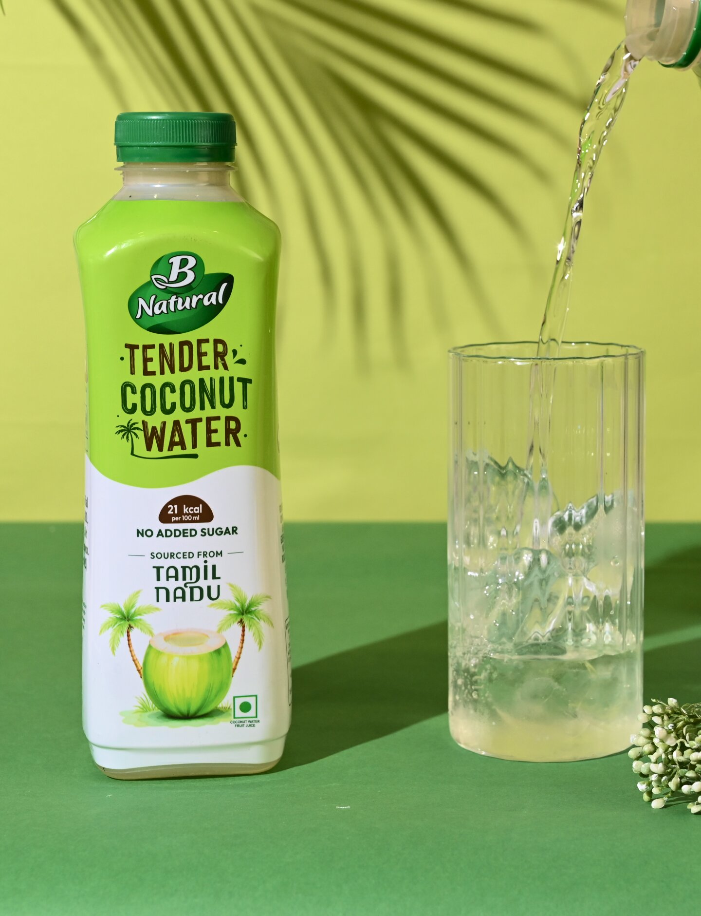 B Natural 椰子水包裝設計自然水彩綠色風格-上海包裝設計公司