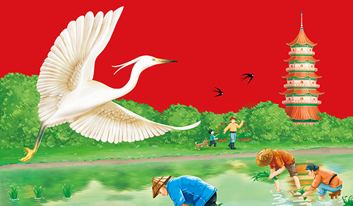 “有水有田”江蘇東臺大米品牌起名與包裝設計