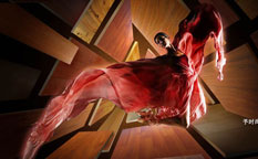 菲林格爾地板形象廣告創(chuàng)意設(shè)計