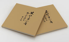 揚子江大酒店畫冊設計