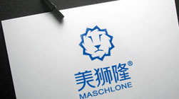 美獅隆門窗建材品牌標志設計VI設計