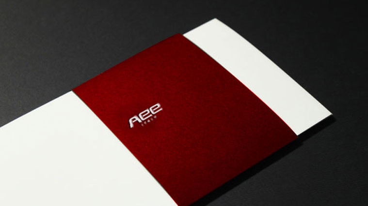 AEE女鞋中英文品牌命名及標志設計 