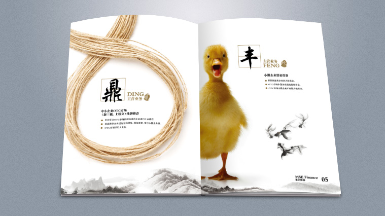 實則硬小微企業金融服務企業宣傳畫冊設計-上海宣傳冊設計公司4