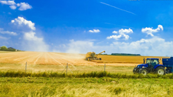 農業農產品策劃設計