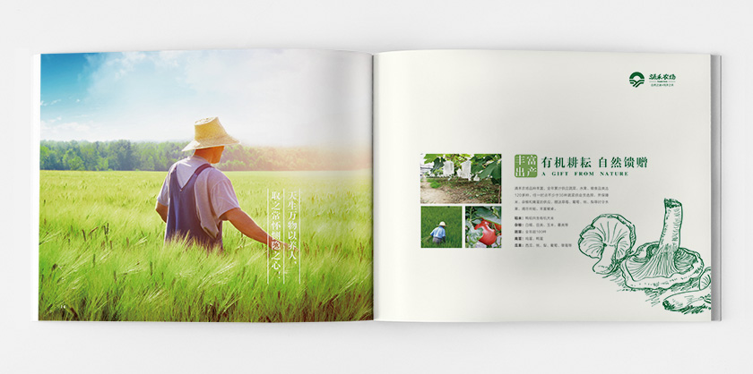 涌禾農場宣傳畫冊策劃設計