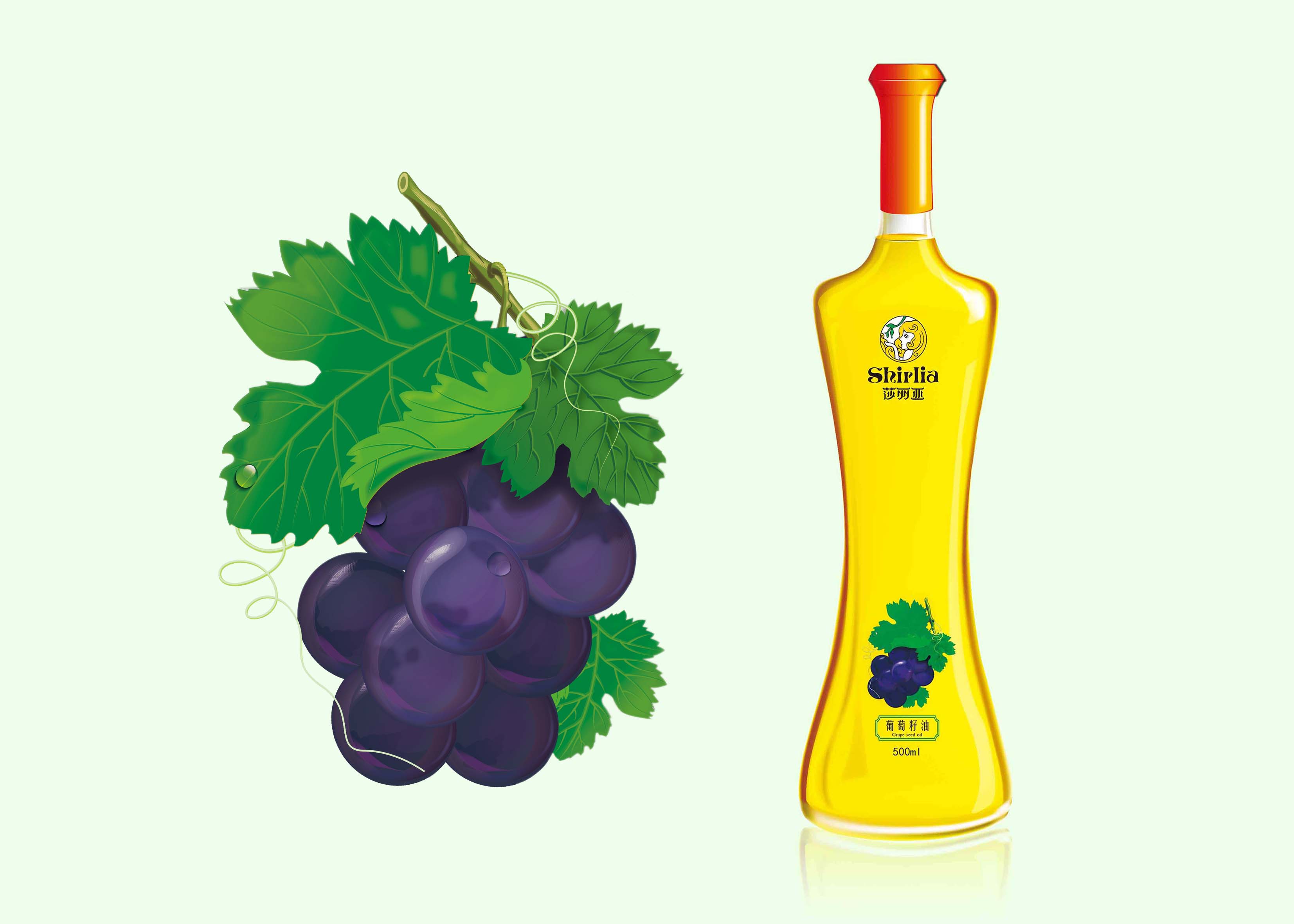 Shirlia 莎麗亞食用油包裝設計瓶形設計山茶油亞麻籽油葡萄籽油禮盒包裝設計