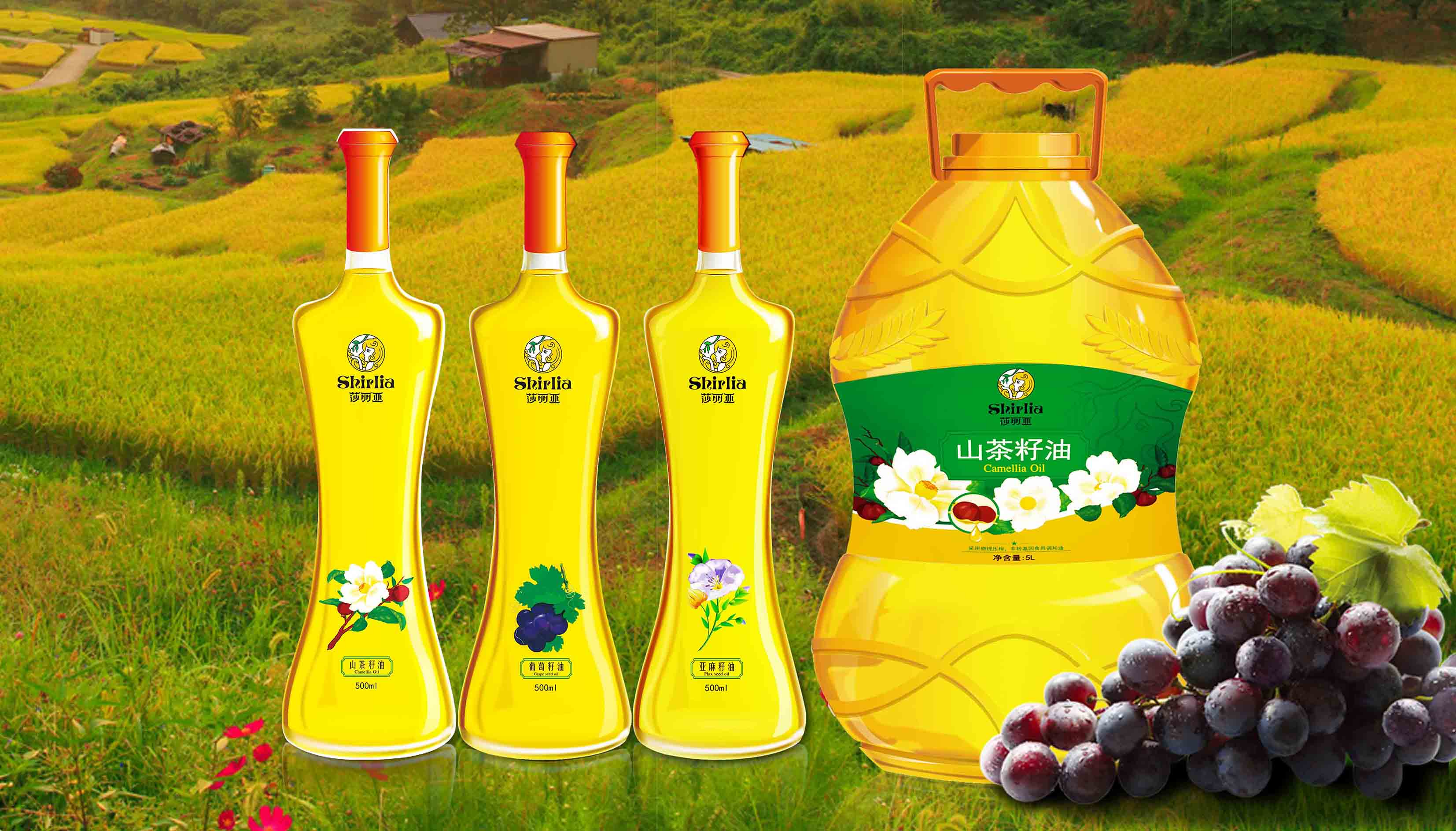 Shirlia 莎麗亞食用油包裝設計瓶形設計山茶油亞麻籽油葡萄籽油禮盒包裝設計