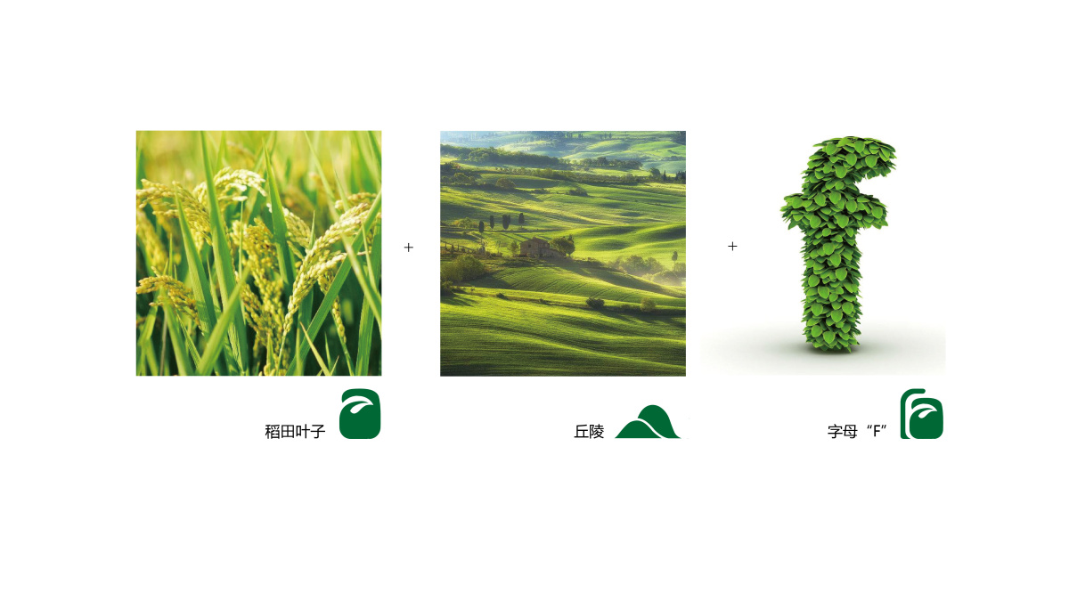 山東富蕾詩農(nóng)產(chǎn)品農(nóng)業(yè)品牌logo設(shè)計VI設(shè)計