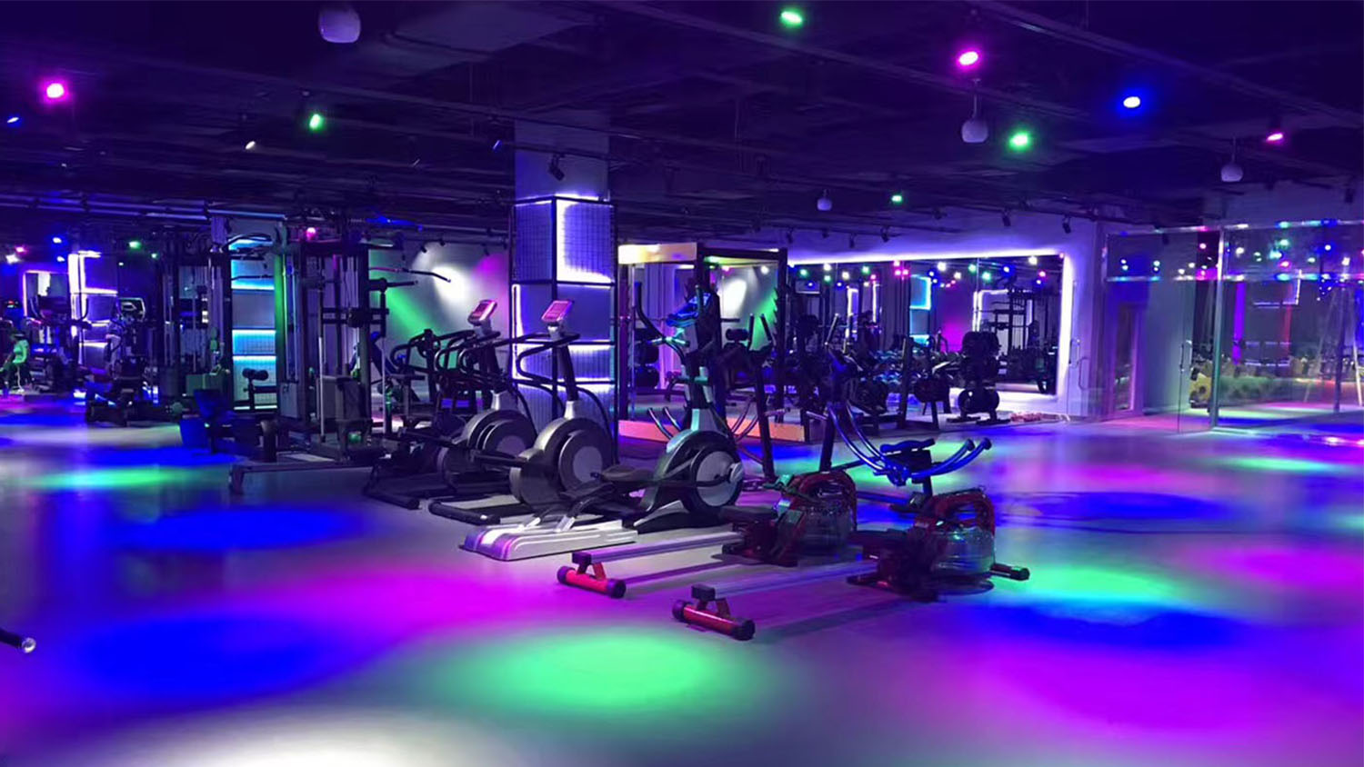 奈斯健身俱樂部高端會所logo設計vi設計