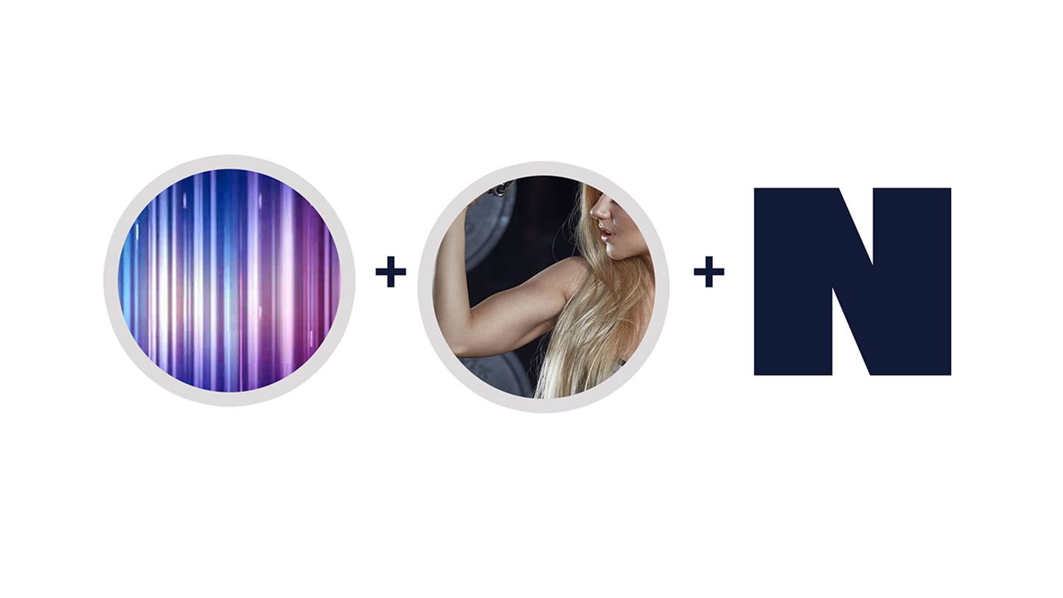 奈斯健身俱樂部高端會所logo設計vi設計