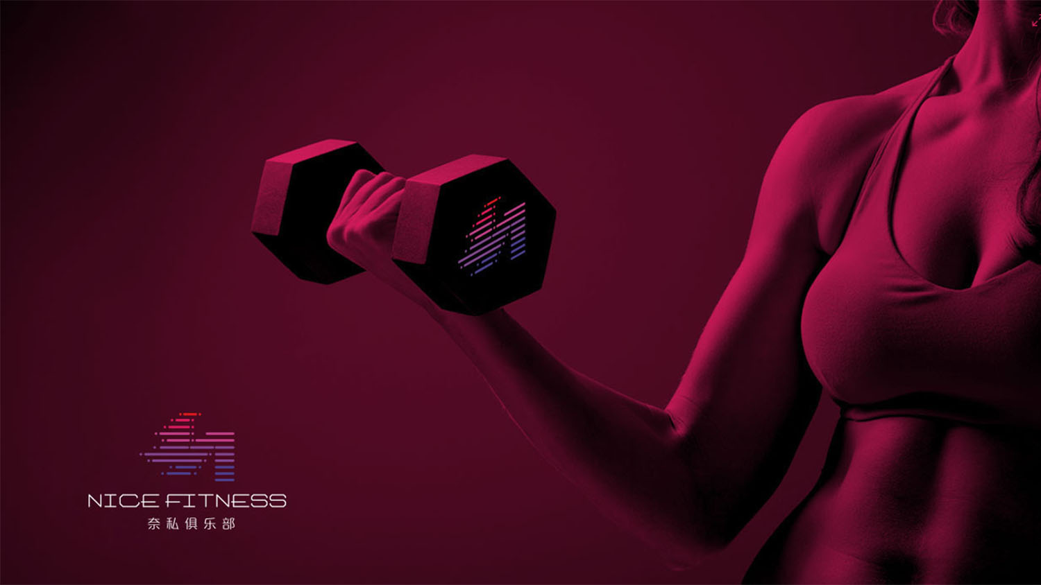 奈斯健身俱樂部高端會所logo設計vi設計
