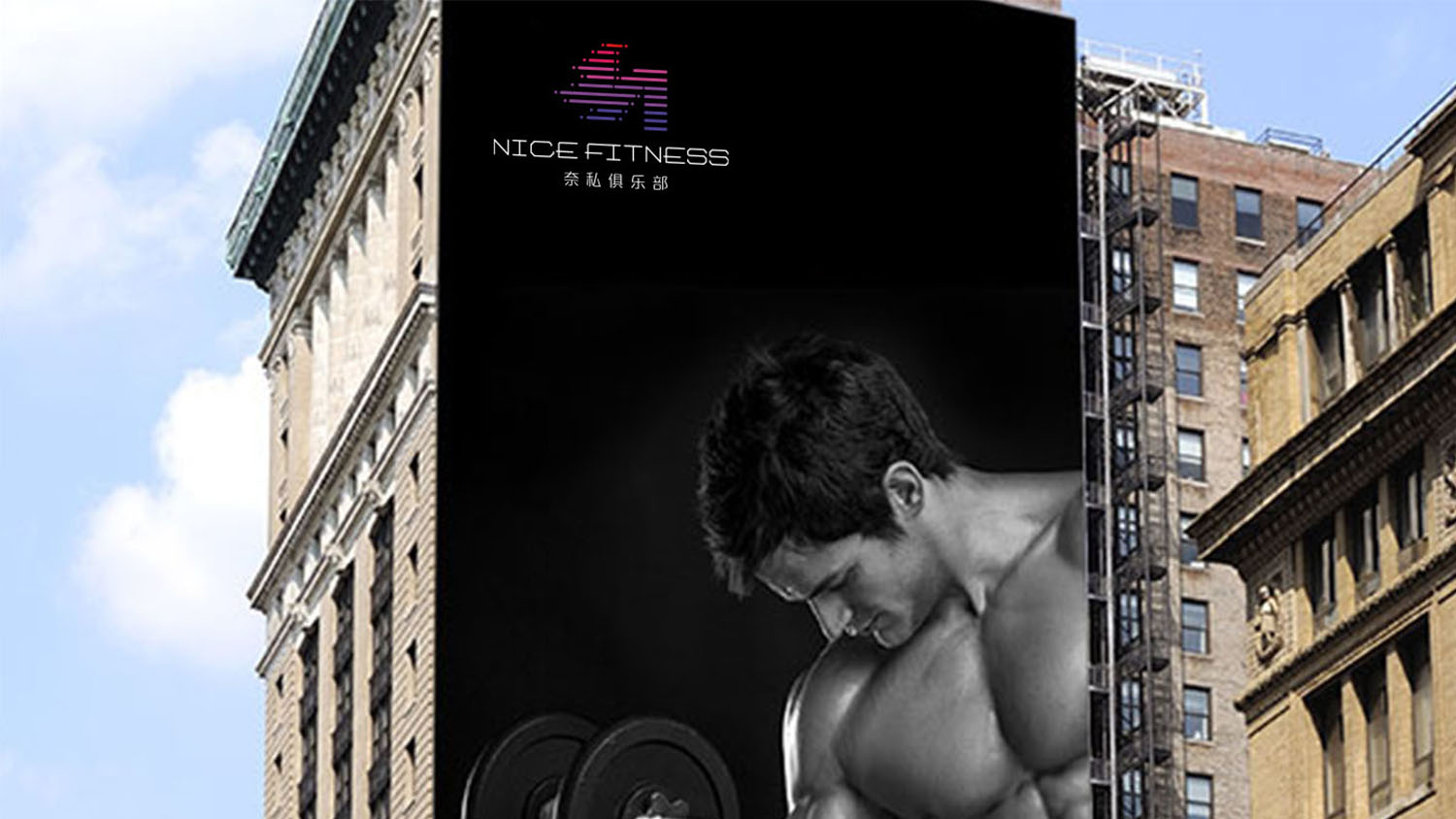 奈斯健身俱樂部高端會所logo設計vi設計