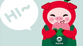 涌禾農(nóng)場有機草莓IP品牌策劃