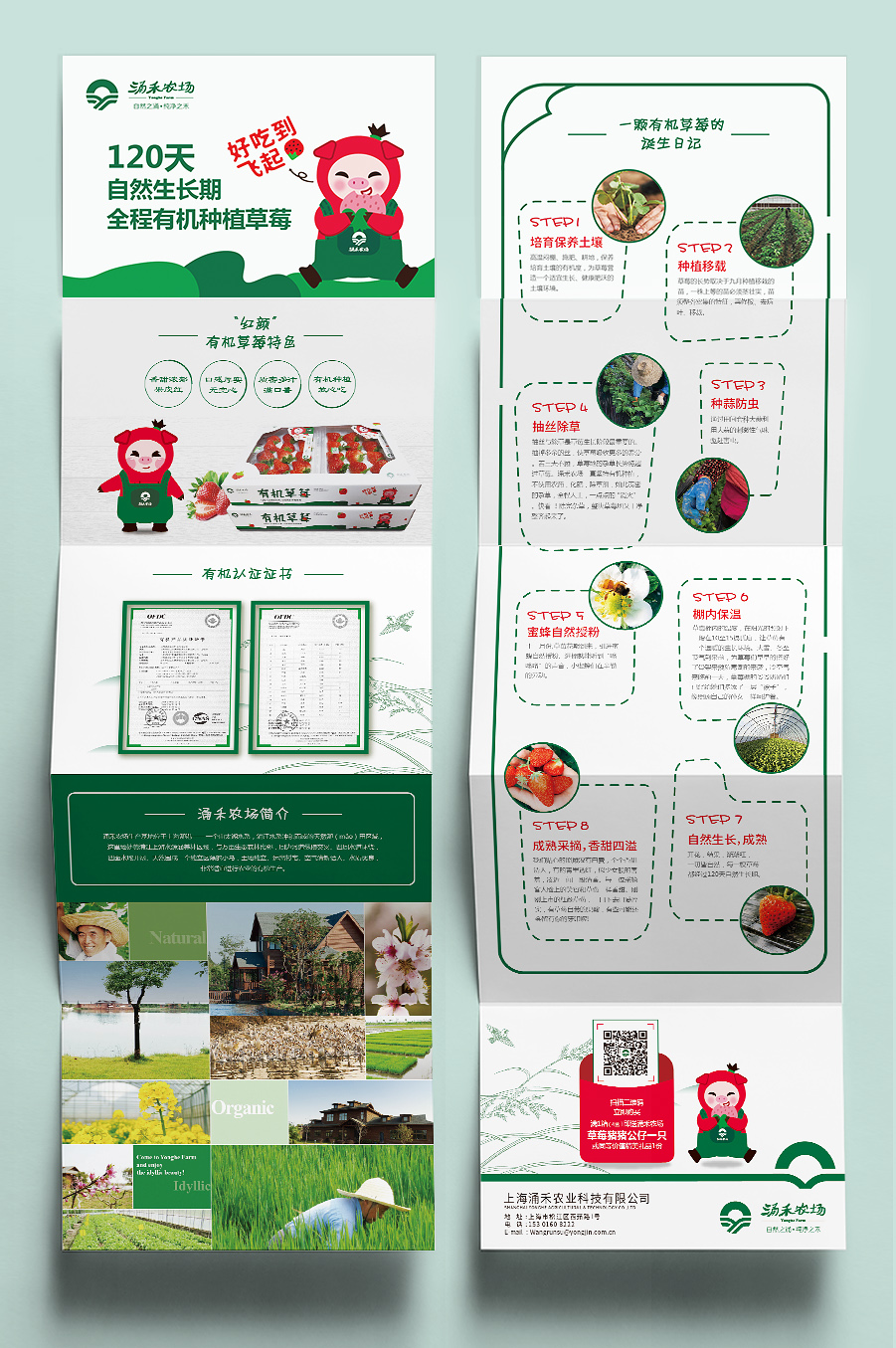 涌禾農場有機草莓品牌全案策劃設計“草莓豬”IP吉祥物設計