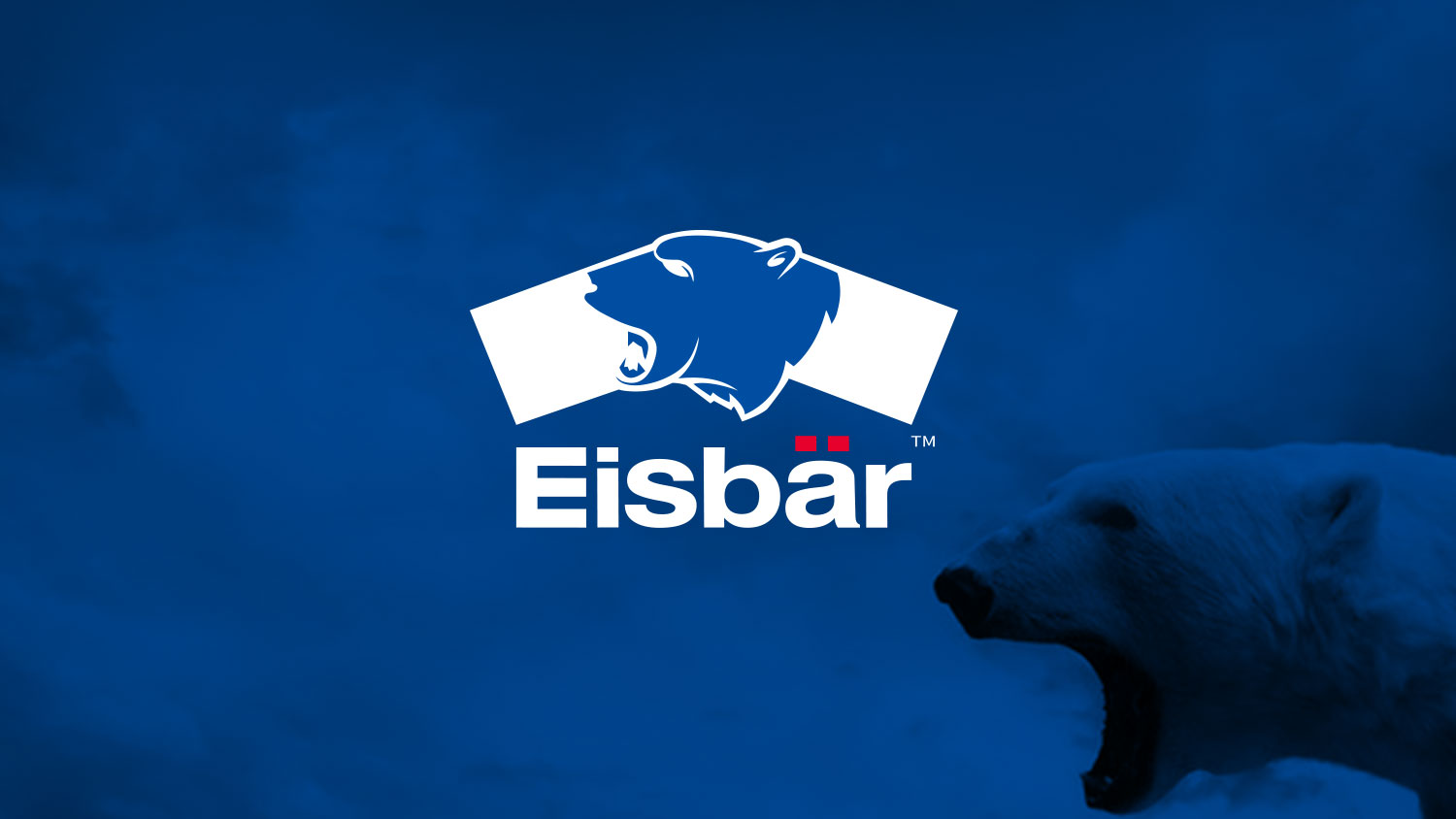 北極熊潤滑油品牌logo設計包裝設計