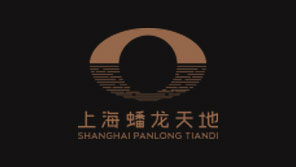 上海蟠龍天地基礎要素視覺系統