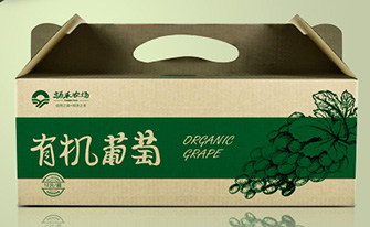 涌禾農場有機大米蔬菜雞蛋水果腌制品農產品包裝設計
