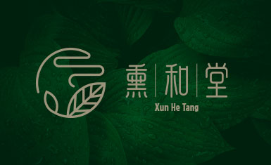 北京熏和堂中草藥熏蒸液熏香品牌命名logo設計vi設計包裝設計