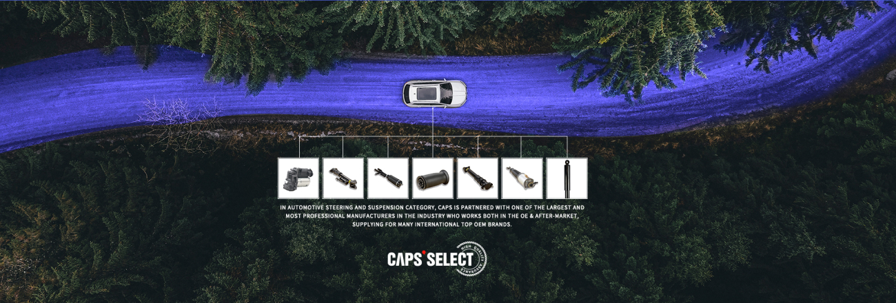 CAPS卡佩斯優選汽車減震器阿里巴巴國際站電商店鋪網站設計