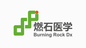 燃石醫學品牌vi形象設計