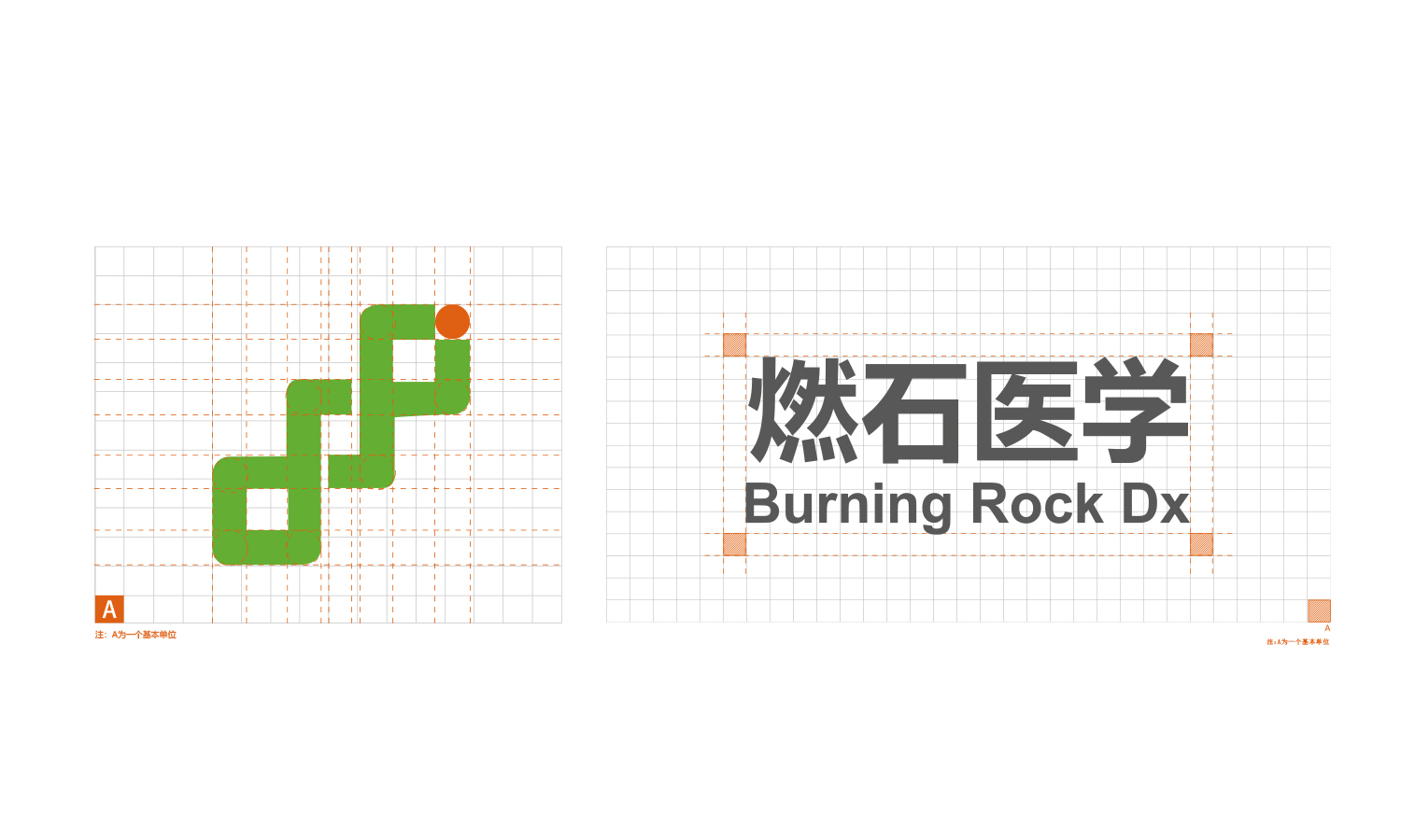 燃石醫學醫療品牌形象vi設計