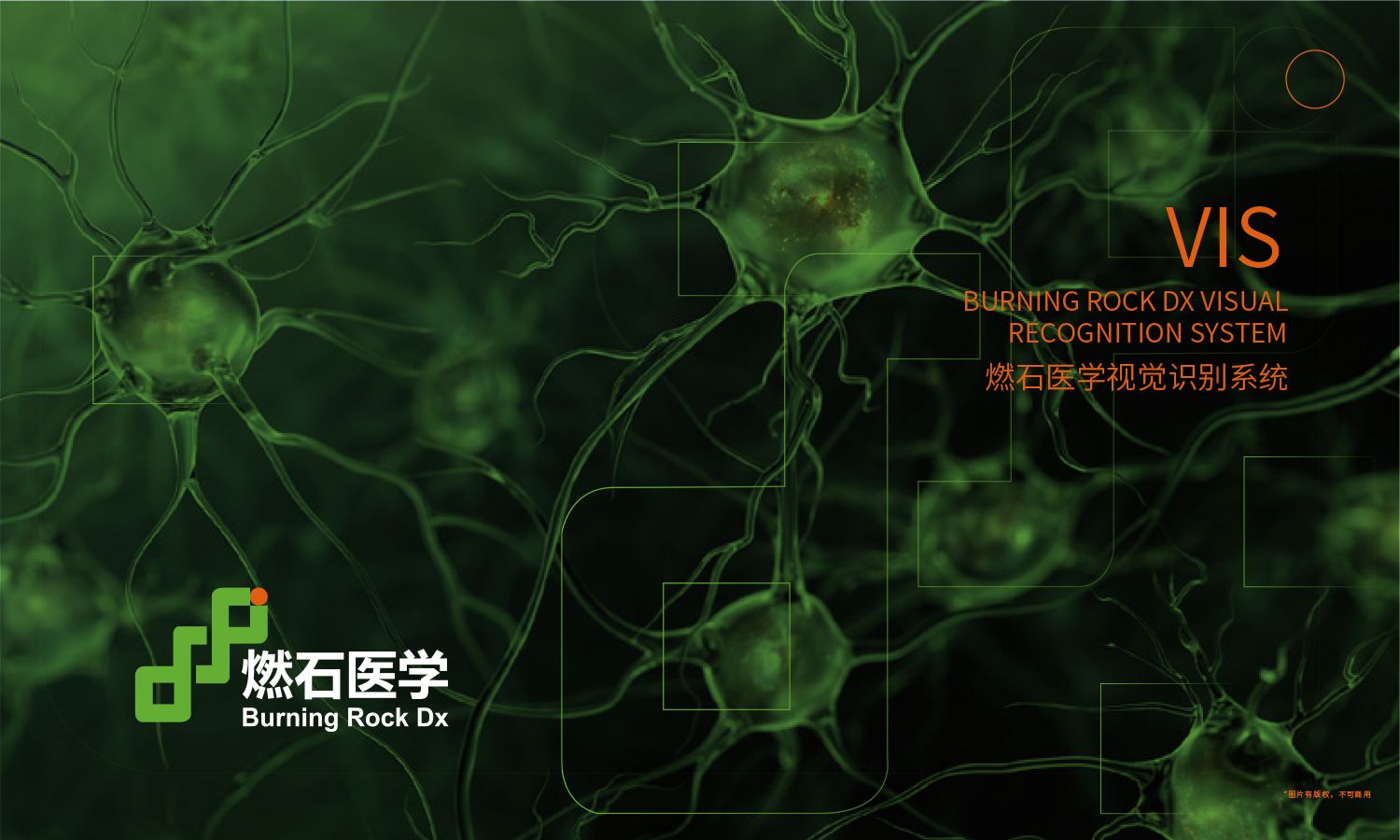 燃石醫學醫療品牌形象vi設計