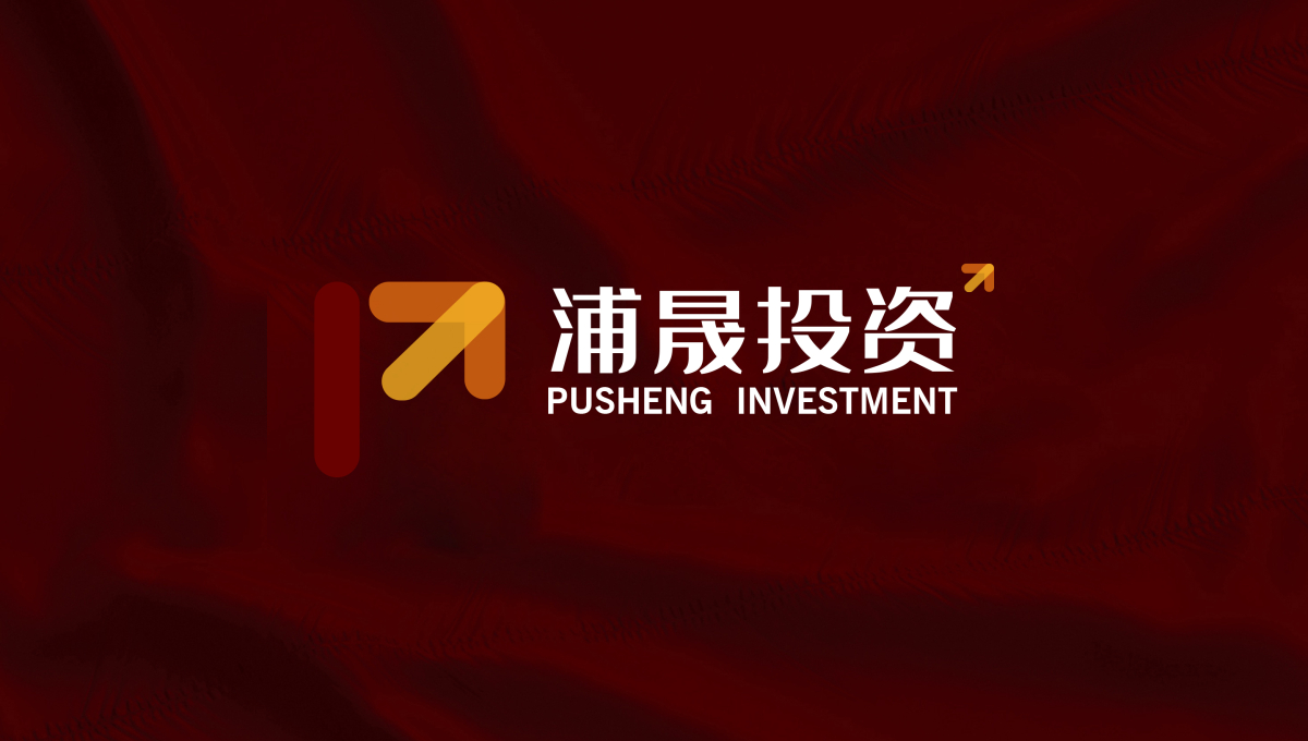 浦晟投資公司金融logo設計vi設計